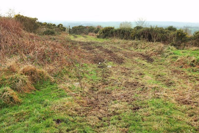Track by the Moorland Walk