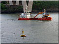 NT1179 : Under the Queensferry Crossing by David Dixon