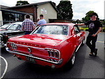 H4572 : Classic car rally Marie Curie Cancer Care, Omagh (47) by Kenneth  Allen