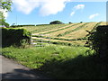 Hay making on drumlin land on the east side of McKays Road