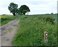 Peddars Way towards Merton