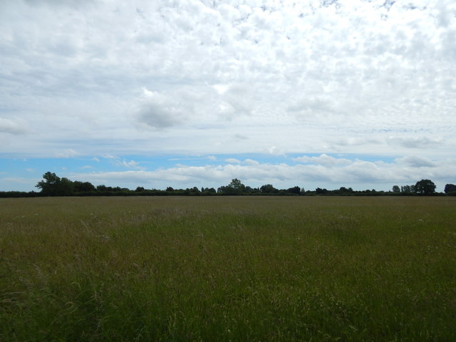 Field, Burgh Castle