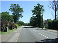 Bus stop on Wilbury Road, Letchworth