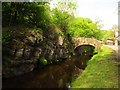 SJ2043 : Rock cutting on the Llangollen Canal by Stephen Craven