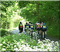 Cyclists on East Ferry Road