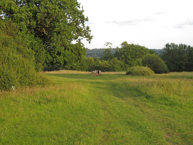 Public footpath through pasture with ponies, Margaretting