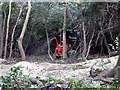 TQ7813 : Wood chipping after clearance, Beauport Park, Hastings by Patrick Roper