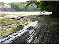 The Pembrokeshire Coast Path near Black Bridge