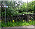 National Cycle Network Route 411 sign, Tredegar