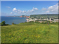 SY1387 : South West Coast Path on Salcombe Hill by John Allan