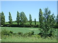 Farmland off the A10 near Greenlow