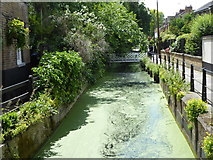 TQ3296 : The New River in Enfield by Marathon