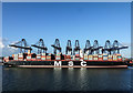 TM2732 : 'Super Container Ship' MSC Rifaya at Felixstowe by Matt Harrop
