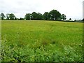 Public footpath to Pen yr Heol Farm