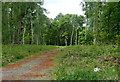 Viaduct Plantation in Scunthorpe