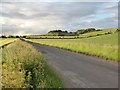 View towards Down Barn - and beyond