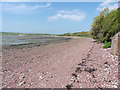 The Pembrokeshire Coast Path near Musselwick