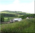 Wood Road Stud in the Leitrim Valley