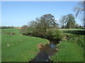 The Langton Burn near Mungo