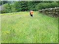 Wallside field footpath giving access to Holme House from Lower Laithe