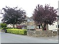 Colourful hedge on Pleasley Road