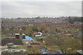 Allotments