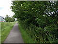 Path next to the canal, looking north-east