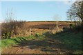 SW9551 : Field entrance by Coombe Hill by Derek Harper