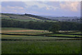 Mid Devon : Countryside Scenery