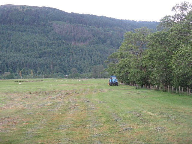 Field and forestry at Dalinlongart