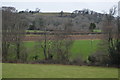 Farmland in Coombe Valley