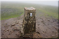 SD7381 : 9-39am, trigpoint at Whernside summit by Ian S