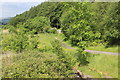 Path in Tirpentwys Local Nature Reserve