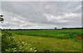 SP4344 : Hanwell: Farmland by Michael Garlick