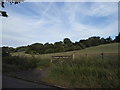 Field by Hedgerley Lane, Gerrards Cross