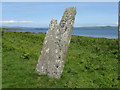 NR6552 : Carragh an Tarbert, the Druids' Stone by M J Richardson