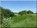 View from the former route of the London LOOP