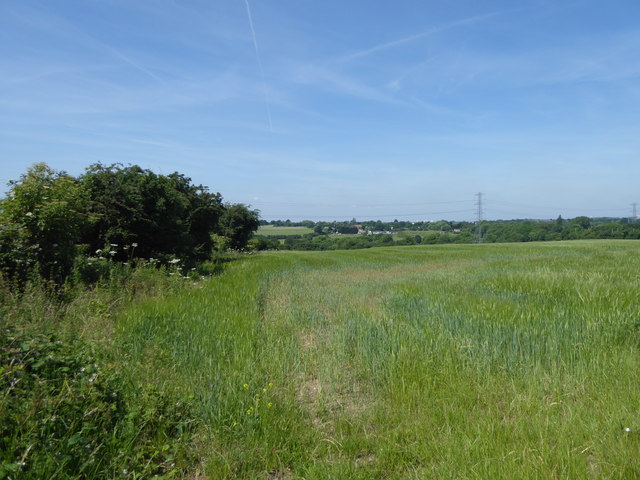 View from Hall Lane and the London LOOP