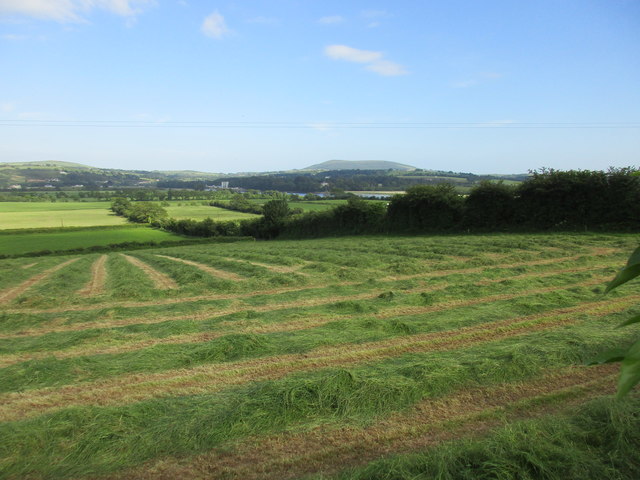 Hay field above the River Barrow