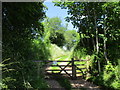 Gated track off Blaisdon Lane