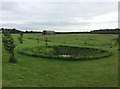 Pond and Barn