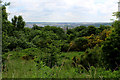 View from Brownroyd Hill