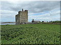 NU2136 : St Cuthbert's Chapel and Tower, Inner Farne by PAUL FARMER