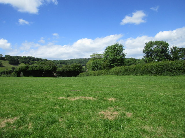 Grass field near Mitcheldean