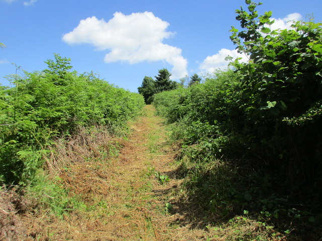 Track To Dene Magna School © Jonathan Thacker :: Geograph Britain And 