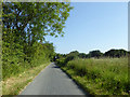 Lane to Great Loveney Hall