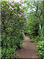 Path in Cragside