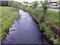 SO1805 : Ebbw River, Cwm by M J Roscoe