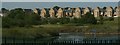 View of houses in the new Gunners Park development from the coastal path next to Barge Pier #2