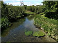 The River Kennet at Axford